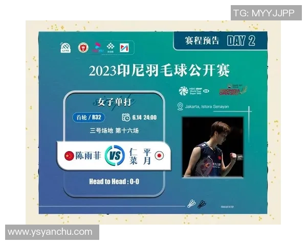 深圳羽毛球队技术分析与发展策略探讨之焦点研究 深圳羽毛球队技术分析与发展策略探讨之焦点研究