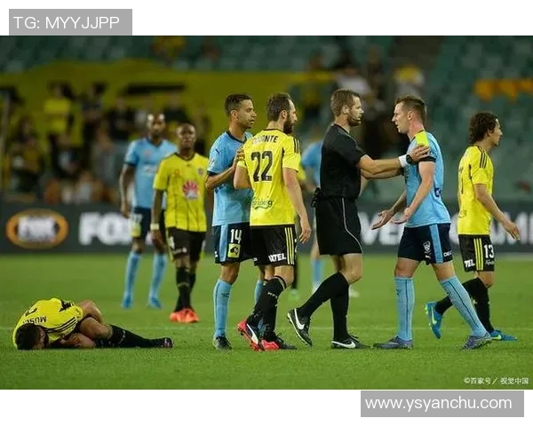 墨尔本胜利迎战惠灵顿凤凰决战澳超赛场谁能笑到最后